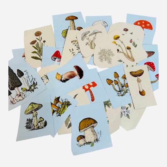 Nature Mushrooms and Flowers Stickers Lot 30 - Picture 2 of 2